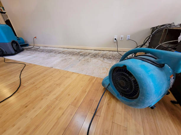 Professional Water Damage Repair technician working in Daisytown, PA